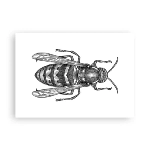 Plakat - Fra en insektplanet - 70x50 cm