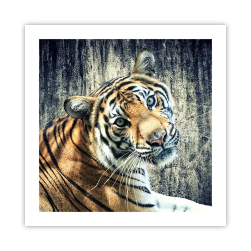 Plakat - Portræt i lysstrømme - 50x50 cm