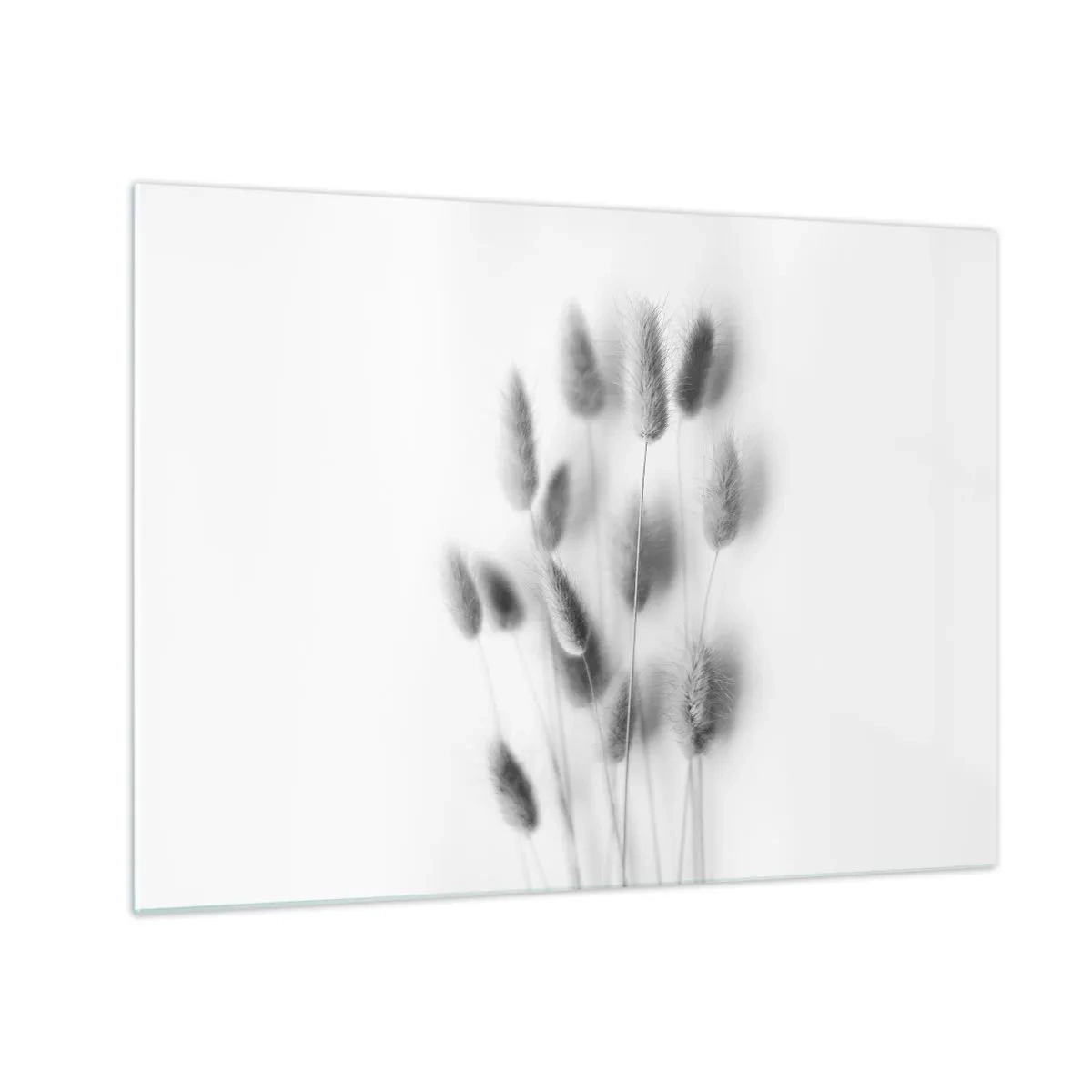 Billede på glas - Sorte og hvide græsører på en lys baggrund i minimalistisk stil - 70x50cm - Dens bløde græs - Moderne vægdekoration til stue og soveværelse ARTTOR