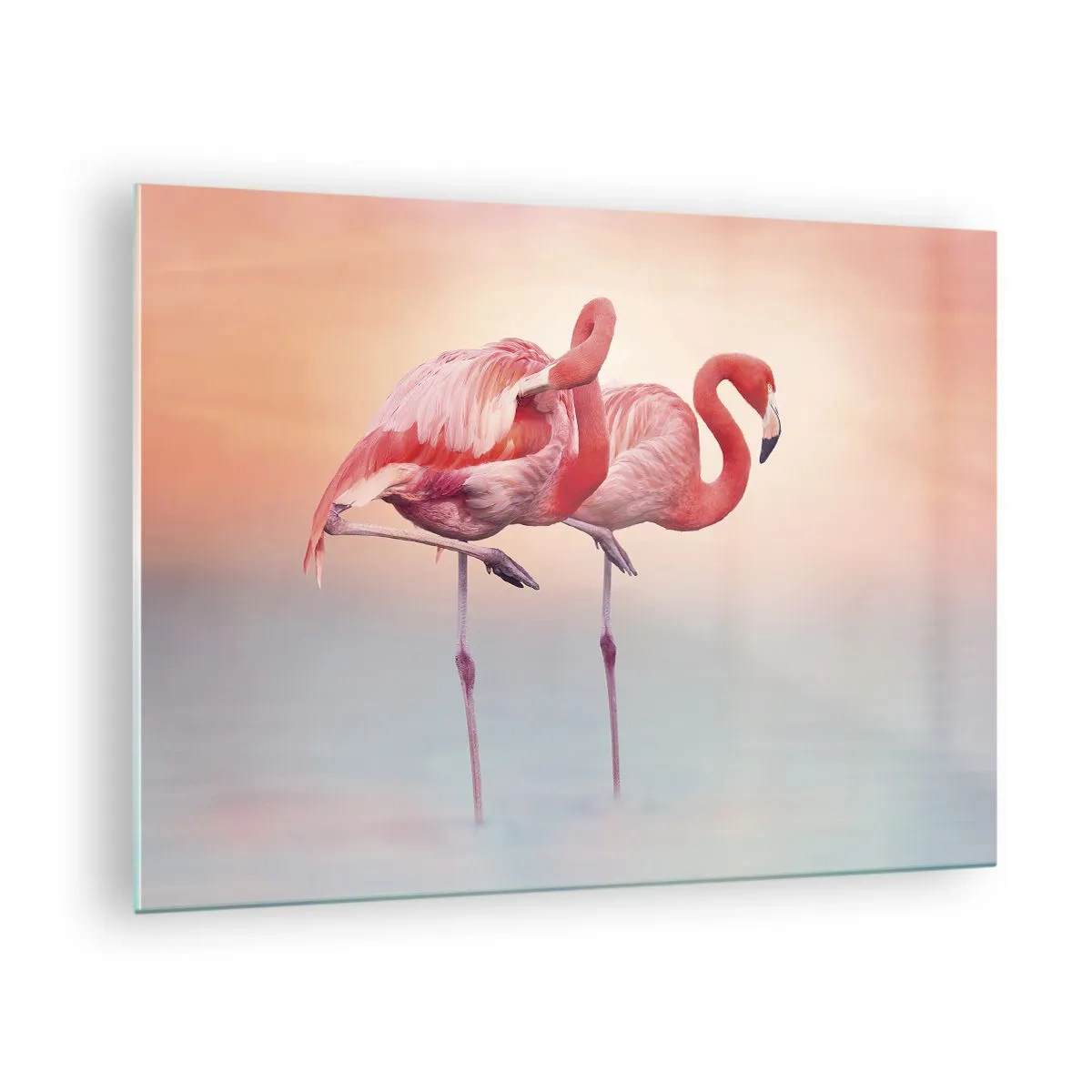 Billede på glas - To flamingoer står i vand med en pastelfarvet solnedgangsbaggrund - 70x50cm - I farven af den nedgående sol - Moderne vægdekoration til stue og soveværelse ARTTOR