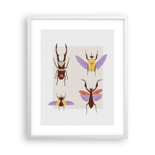 Plakat i hvid ramme - Insekternes verden - 40x50 cm