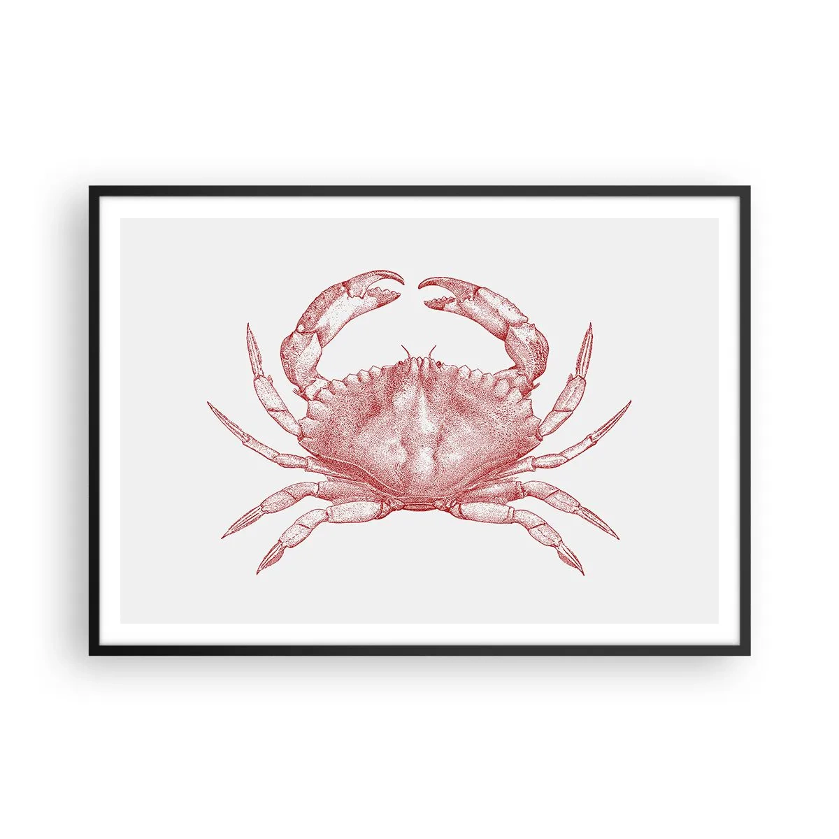 Plakat i sort ramme - Krabbe over krabber - 100x70 cm