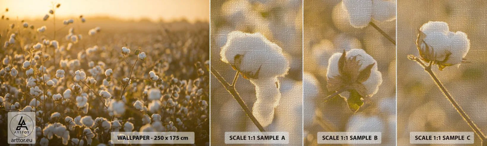 Prøve Fototapet Premium Canvas - Et luftigt felt - Bomuldsmark, Asien, Natur - 100x30 cm