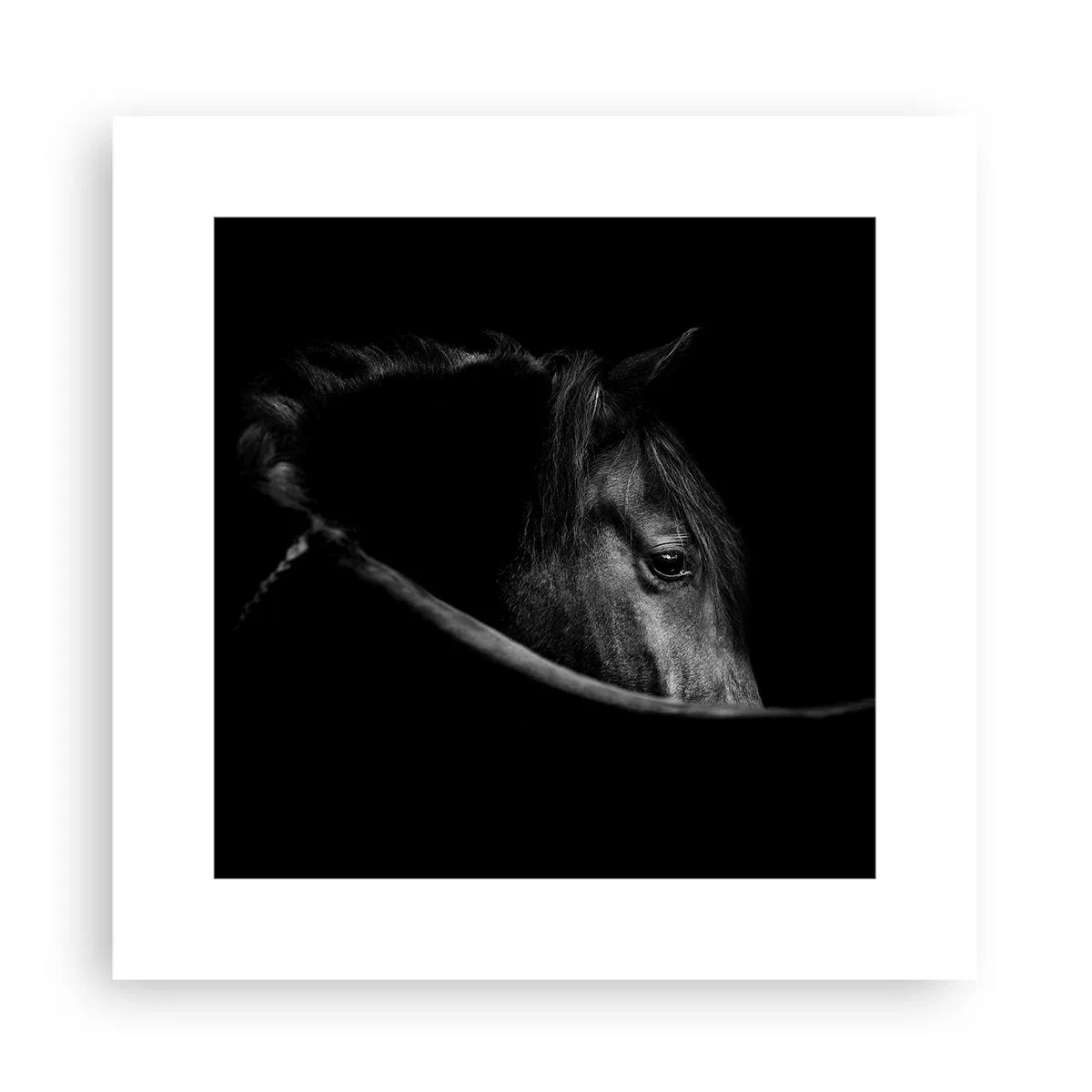 Plakat - Sort prins - 30x30 cm