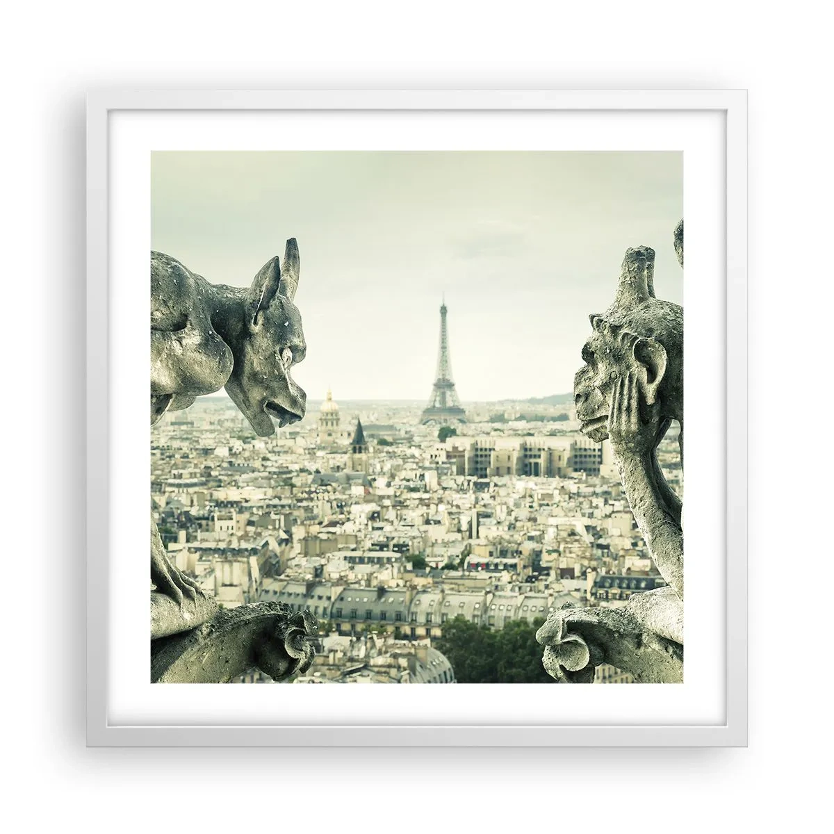 Plakat i hvid ramme - Parisisk chat - 50x50 cm