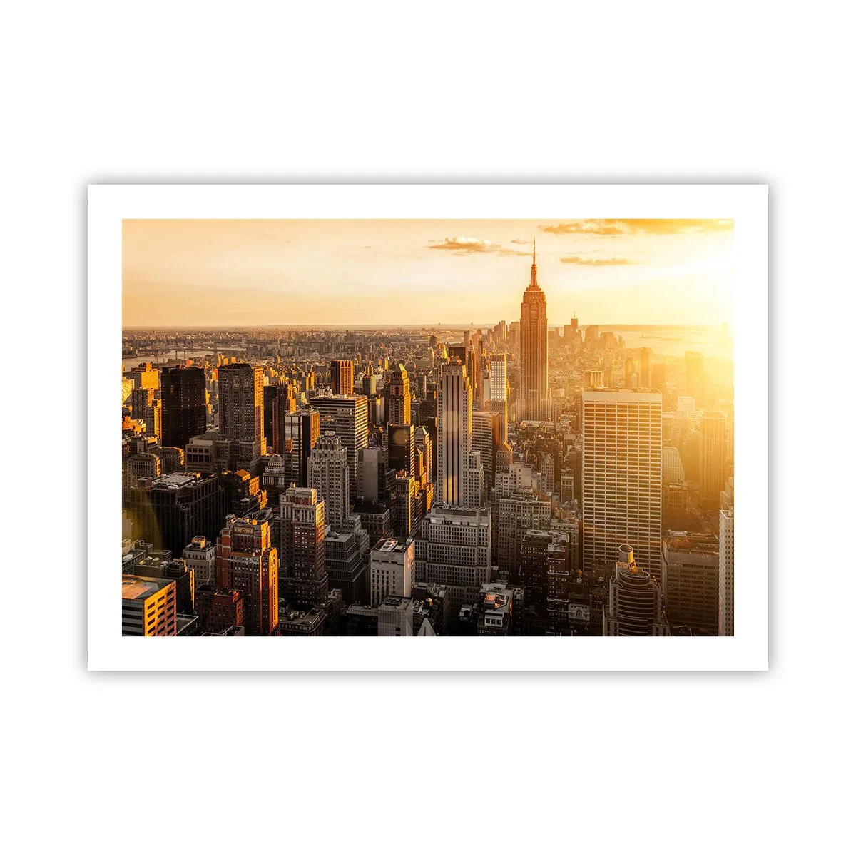 Plakat - At vokse i solen - 70x50 cm