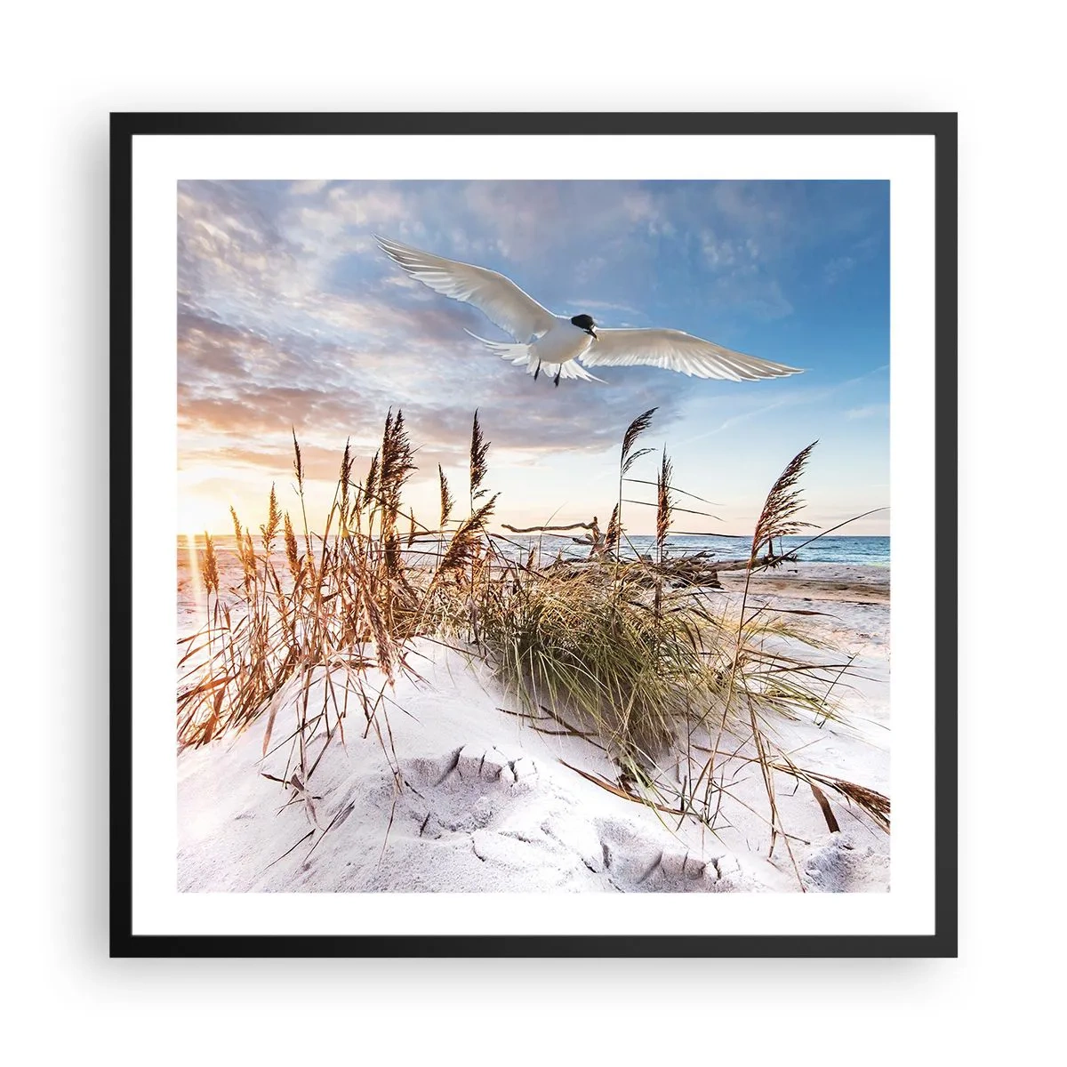 Plakat i sort ramme - Vind fra havet - 60x60 cm