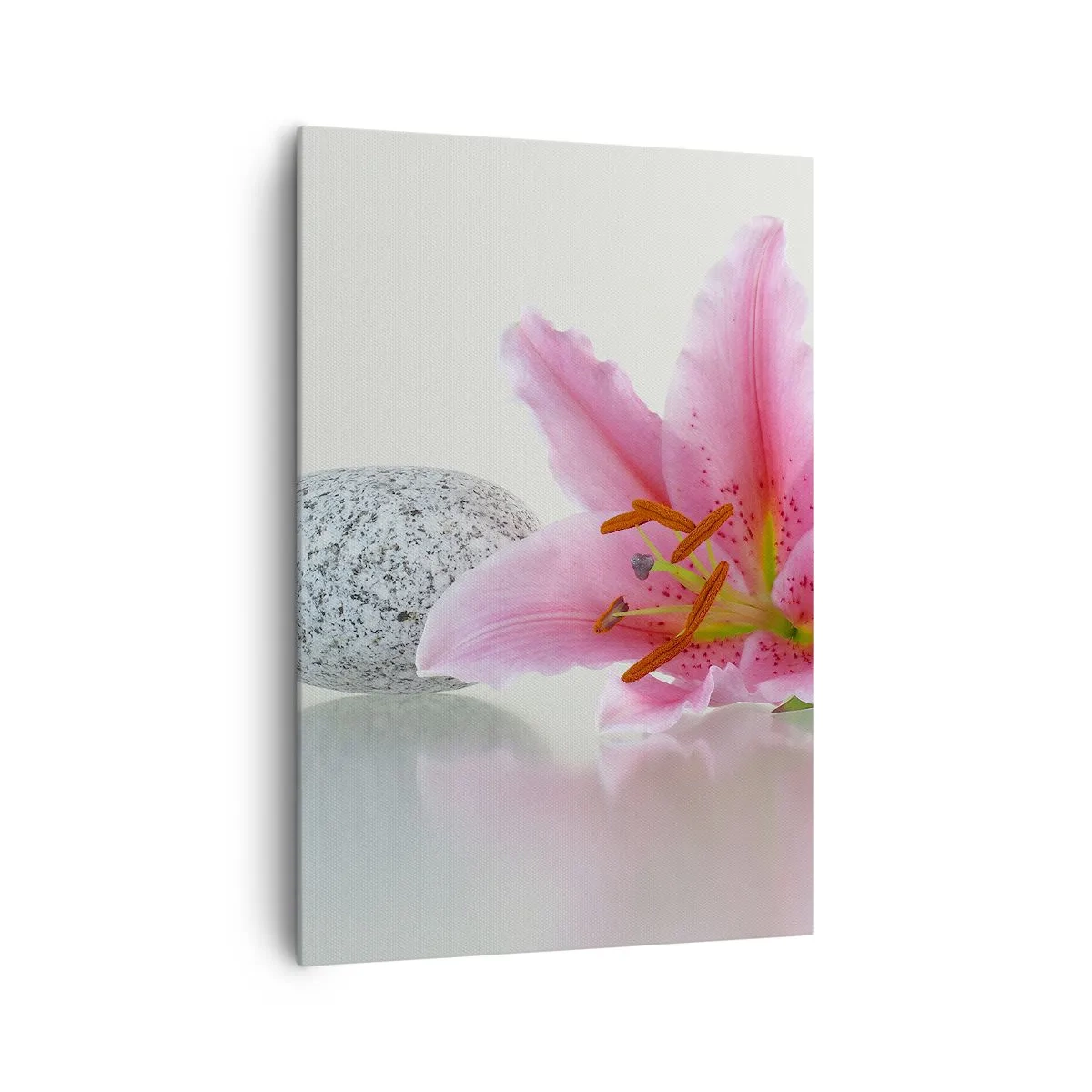 Lærredstryk - Billede på lærred - Et studie i rosa, grå og hvid - 70x100 cm