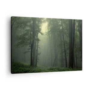 Lærredstryk - Billede på lærred - En grøn skov om morgenen indhyllet i en delikat tåge - 70x50cm - Før han vågner op - Moderne vægdekoration til stue og soveværelse ARTTOR