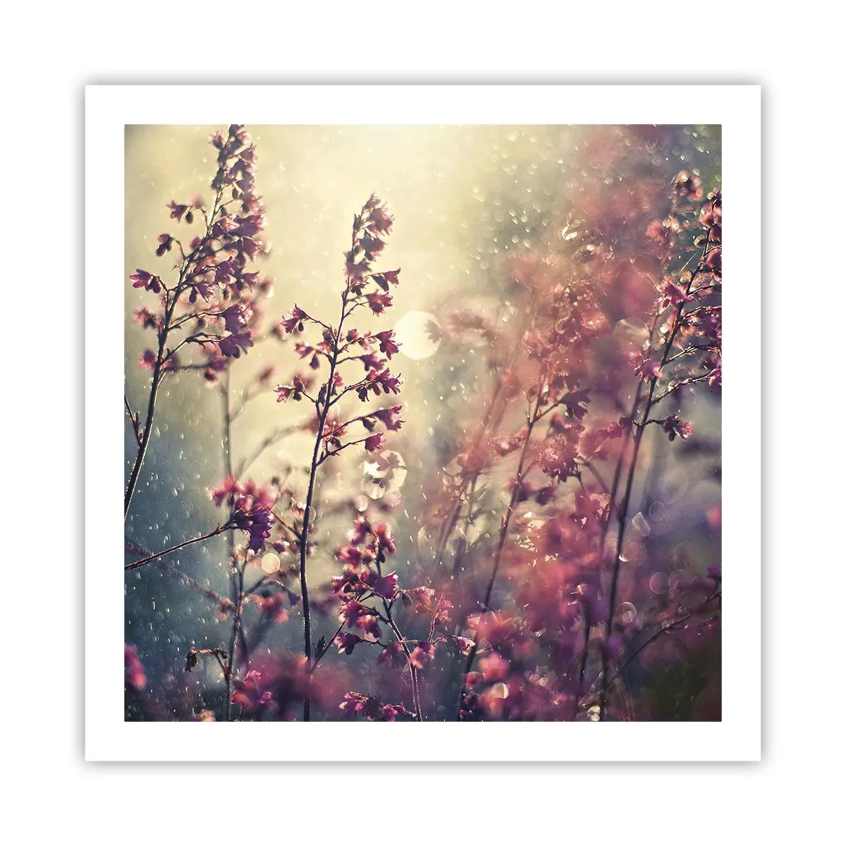Plakat - Hemmelig have - 60x60 cm