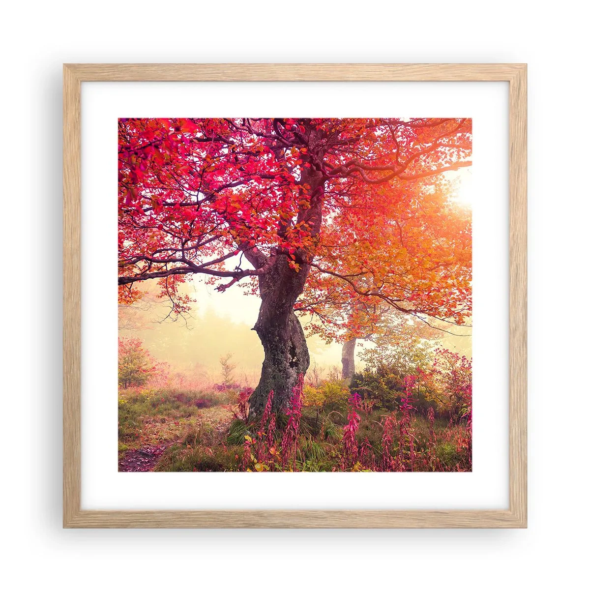 Plakat i ramme af lyst egetræ - Et væld af blomstring - 40x40 cm
