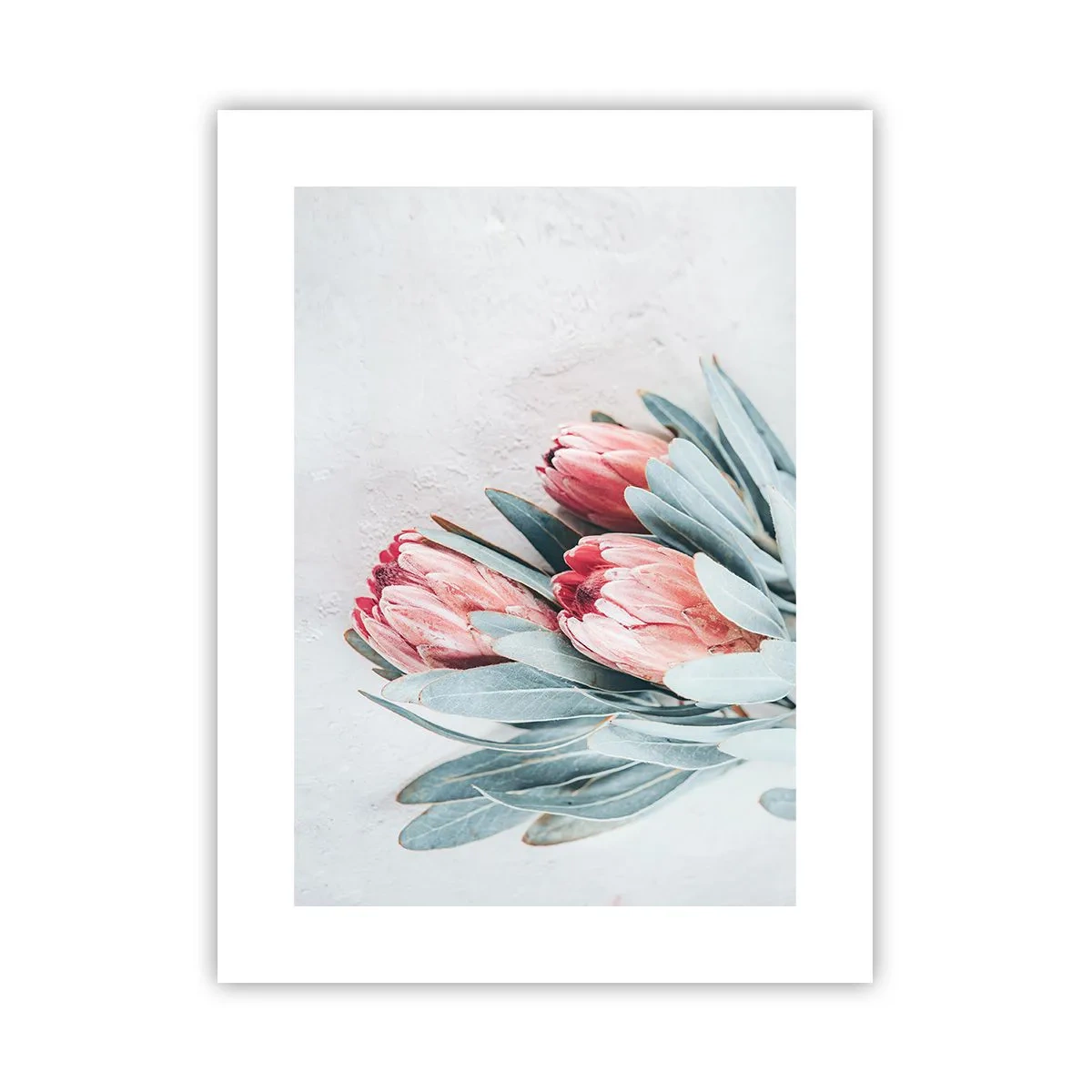 Plakat - Skammer sig over deres egen skønhed - 30x40 cm
