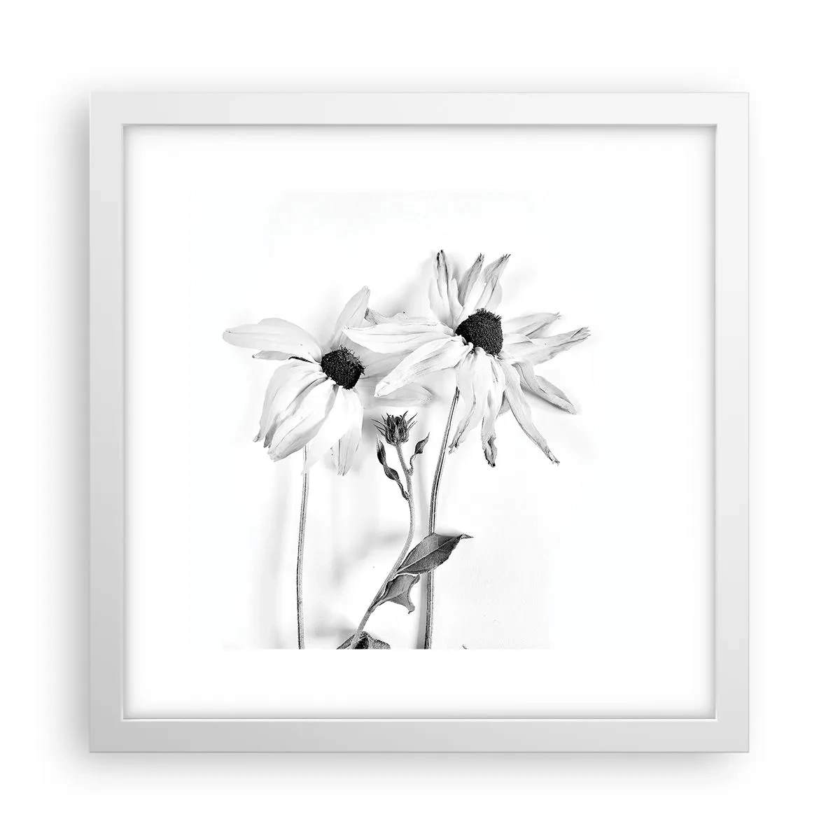 Plakat i hvid ramme - Ingen ønsker at være alene - 30x30 cm