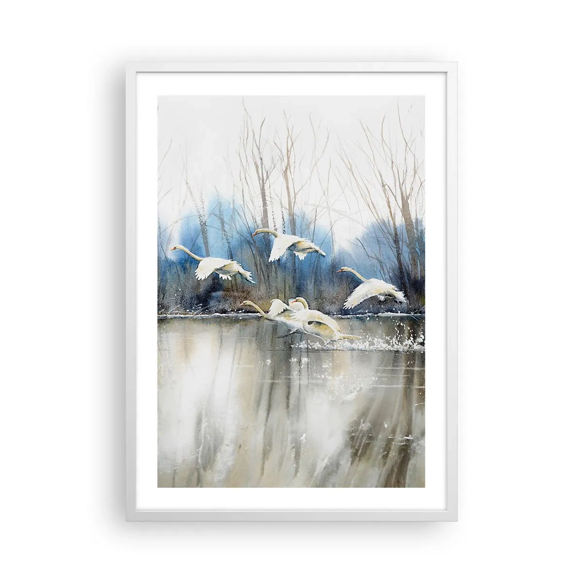 Plakat i hvid ramme - Som i en fortælling om vilde svaner - 50x70 cm