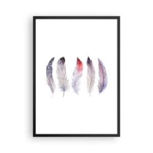 Plakat i sort ramme - Farverige fjer på en hvid baggrund i en delikat stil - 50x70cm - Delikat som en flerfarvet tåge - Moderne vægdekoration til stue og soveværelse ARTTOR