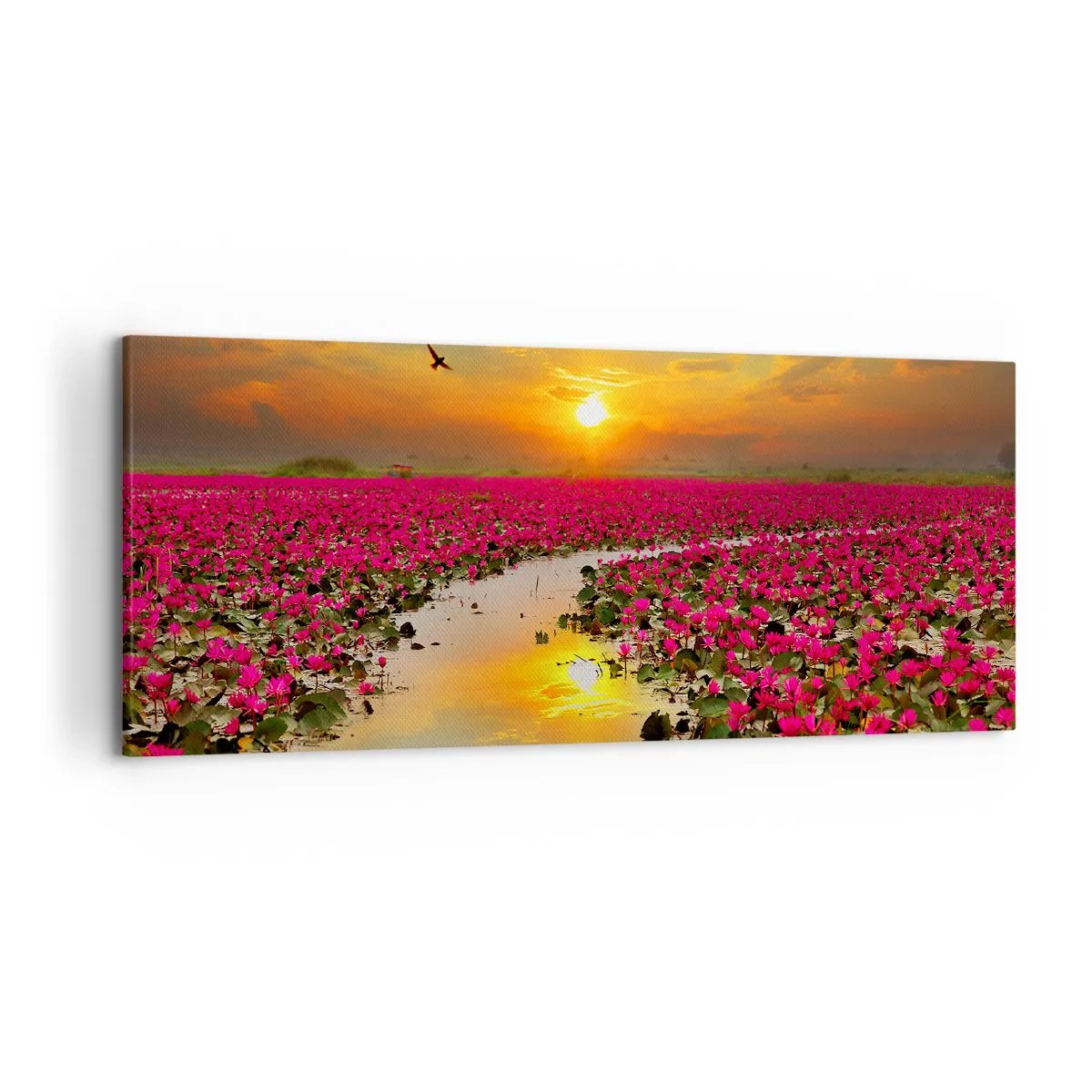 Lærredstryk - Billede på lærred - Søens hemmelige liv - 120x50 cm
