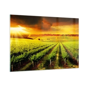 Billede på glas - Under den australske sol - 100x70 cm