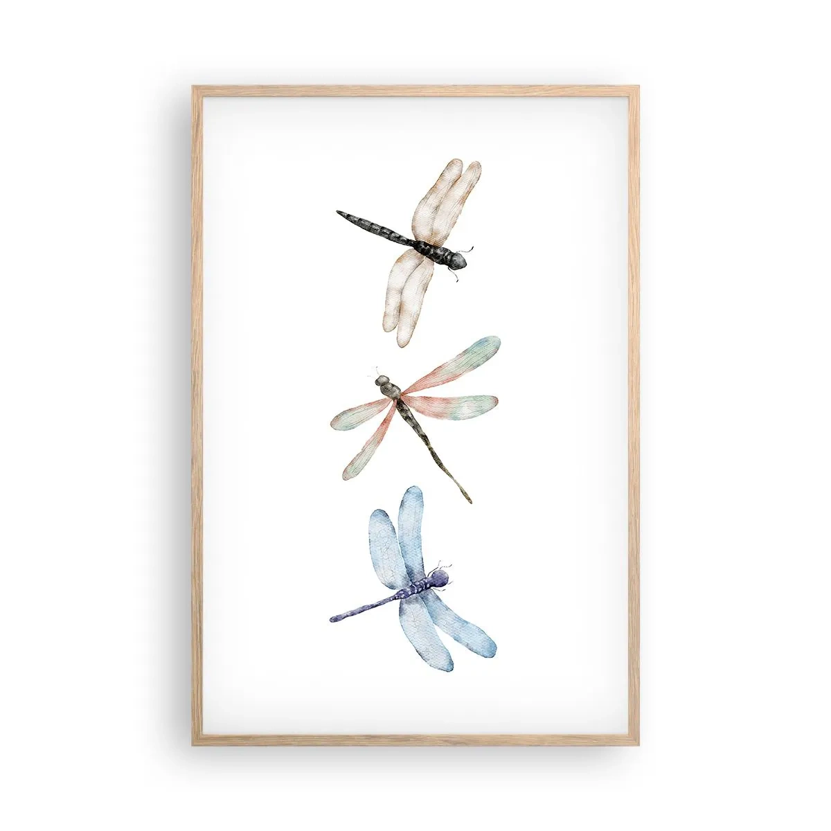 Plakat i ramme af lyst egetræ - Vægtløse guldsmede - 61x91 cm