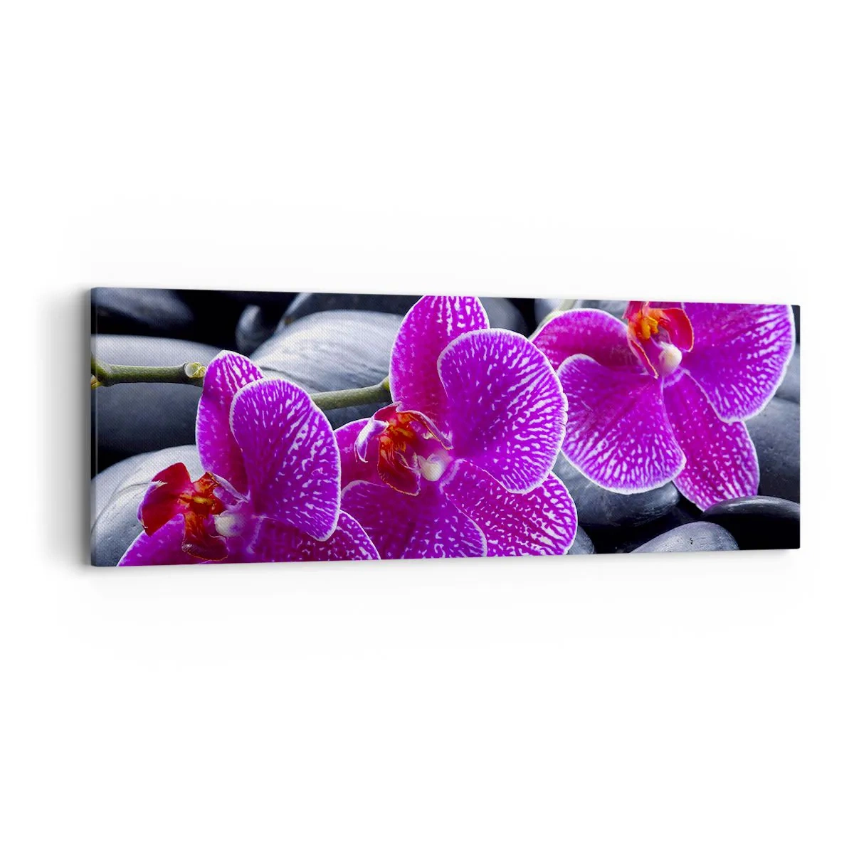 Lærredstryk - Billede på lærred - Stenene lyste op af glæde - 90x30 cm