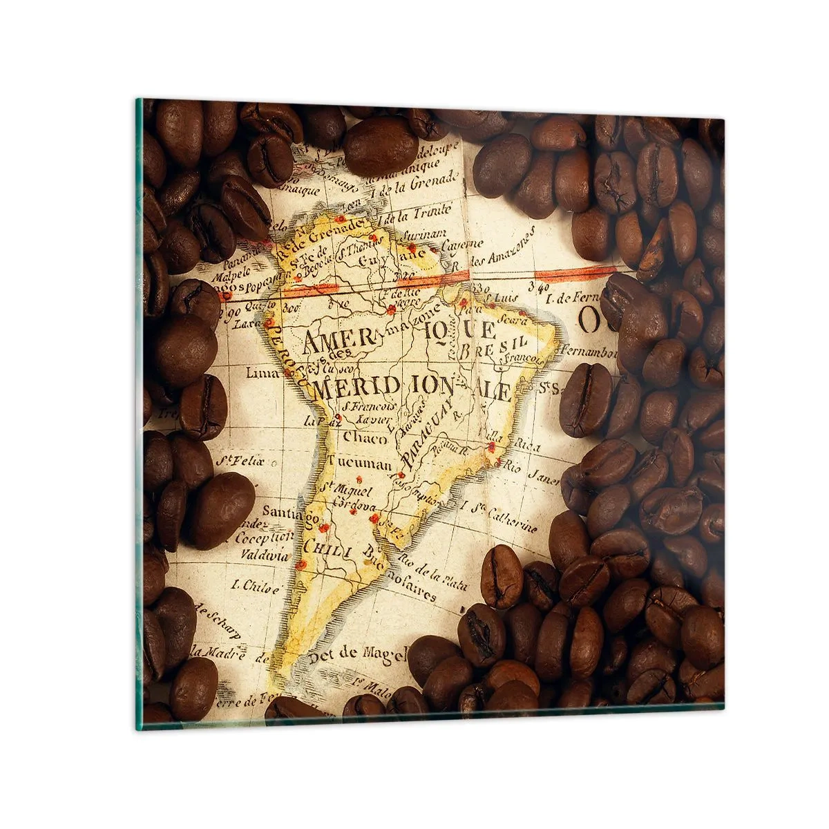Billede på glas - Hvor kommer den bedste kaffe fra? - 70x70 cm