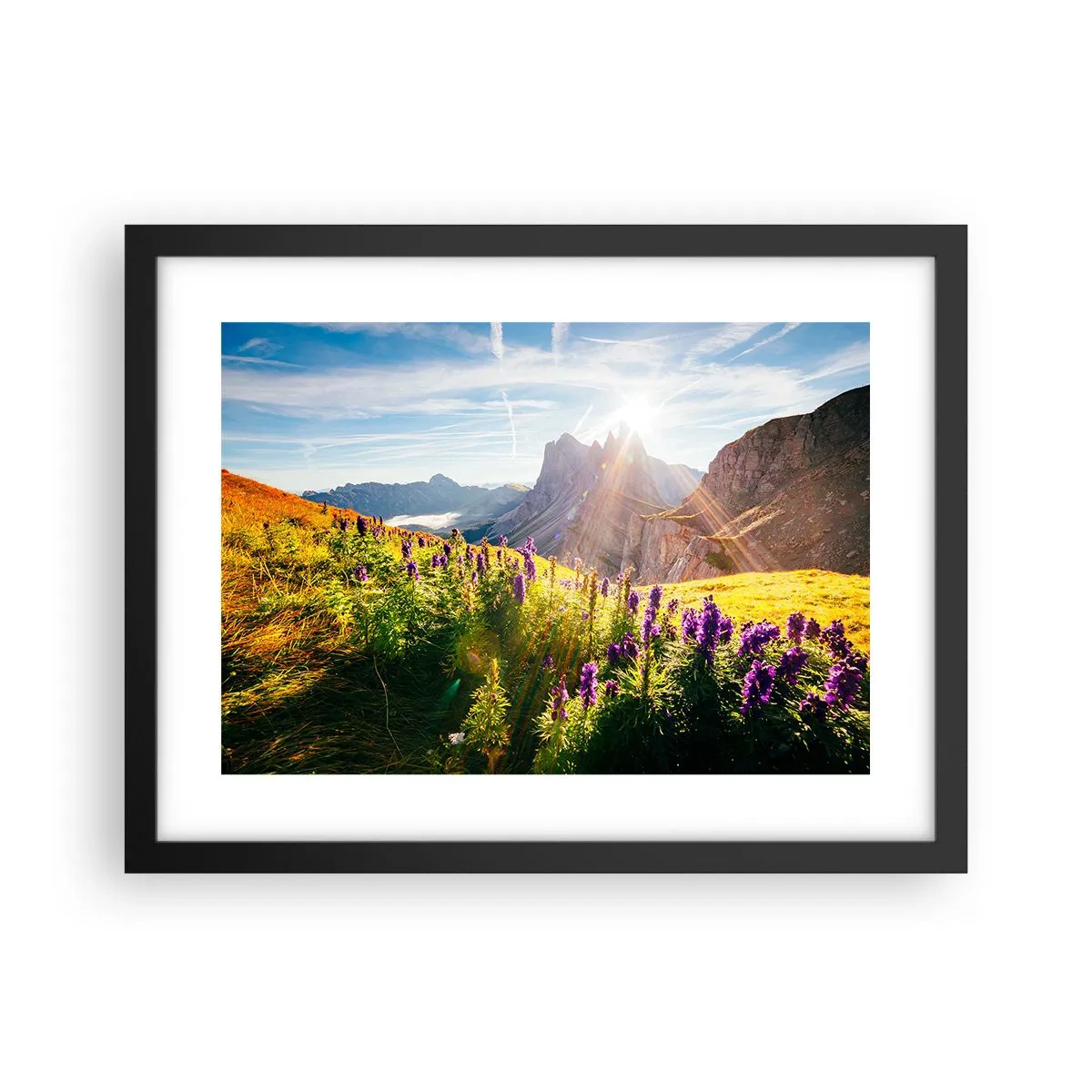 Plakat i sort ramme - Urternes hemmelige liv - 40x30 cm