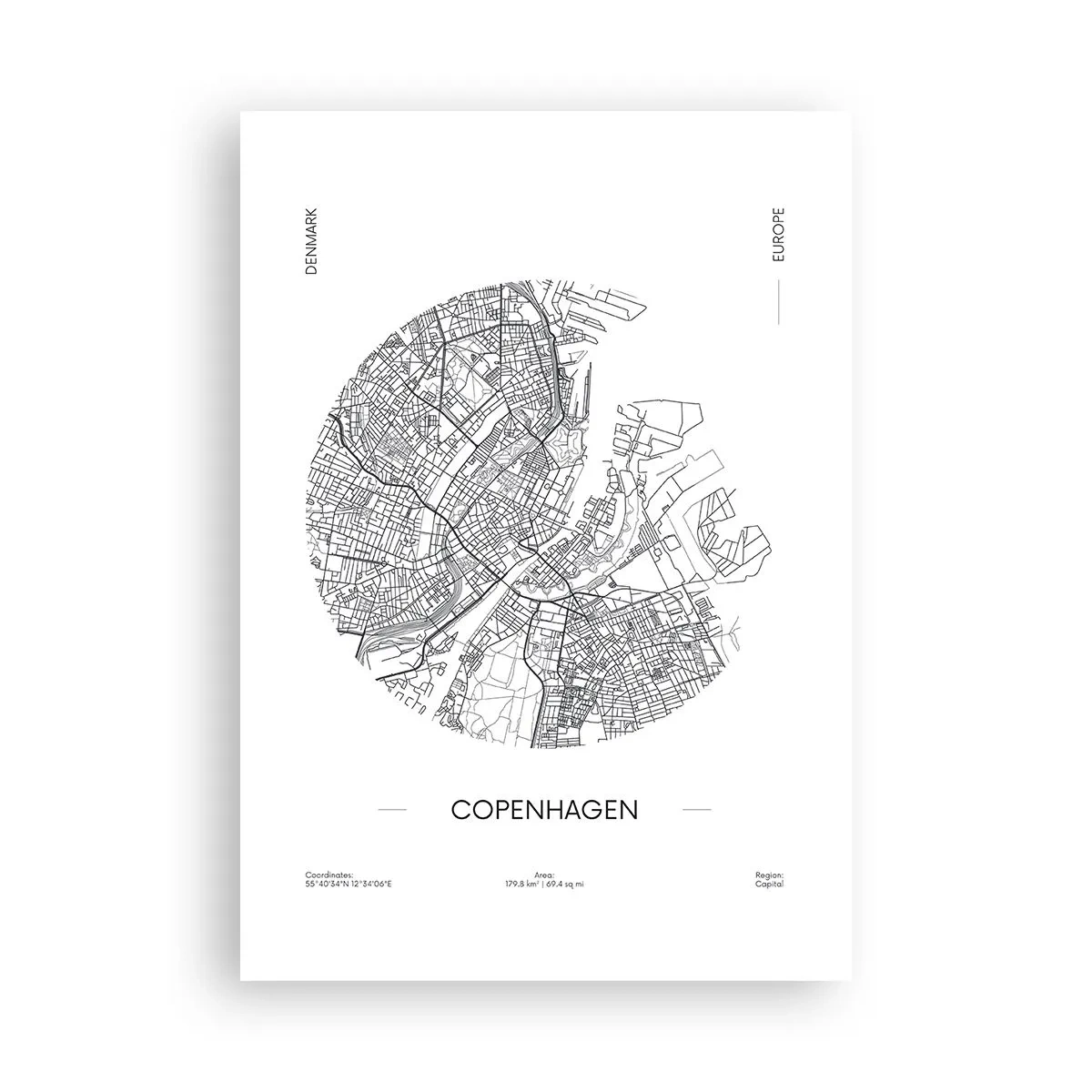 Plakat - Københavns anatomi - 70x100 cm