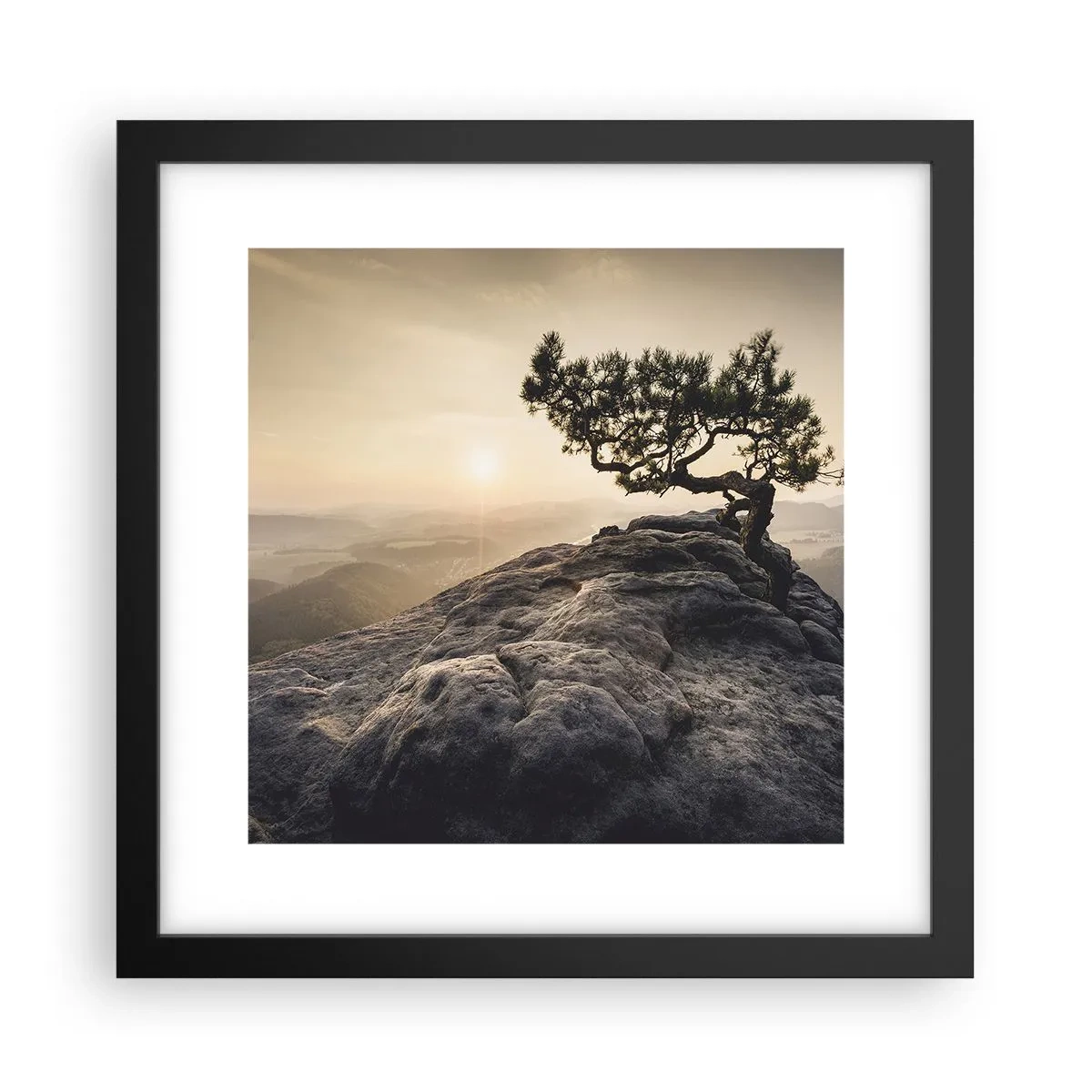 Plakat i sort ramme - Livet vinder altid - 30x30 cm