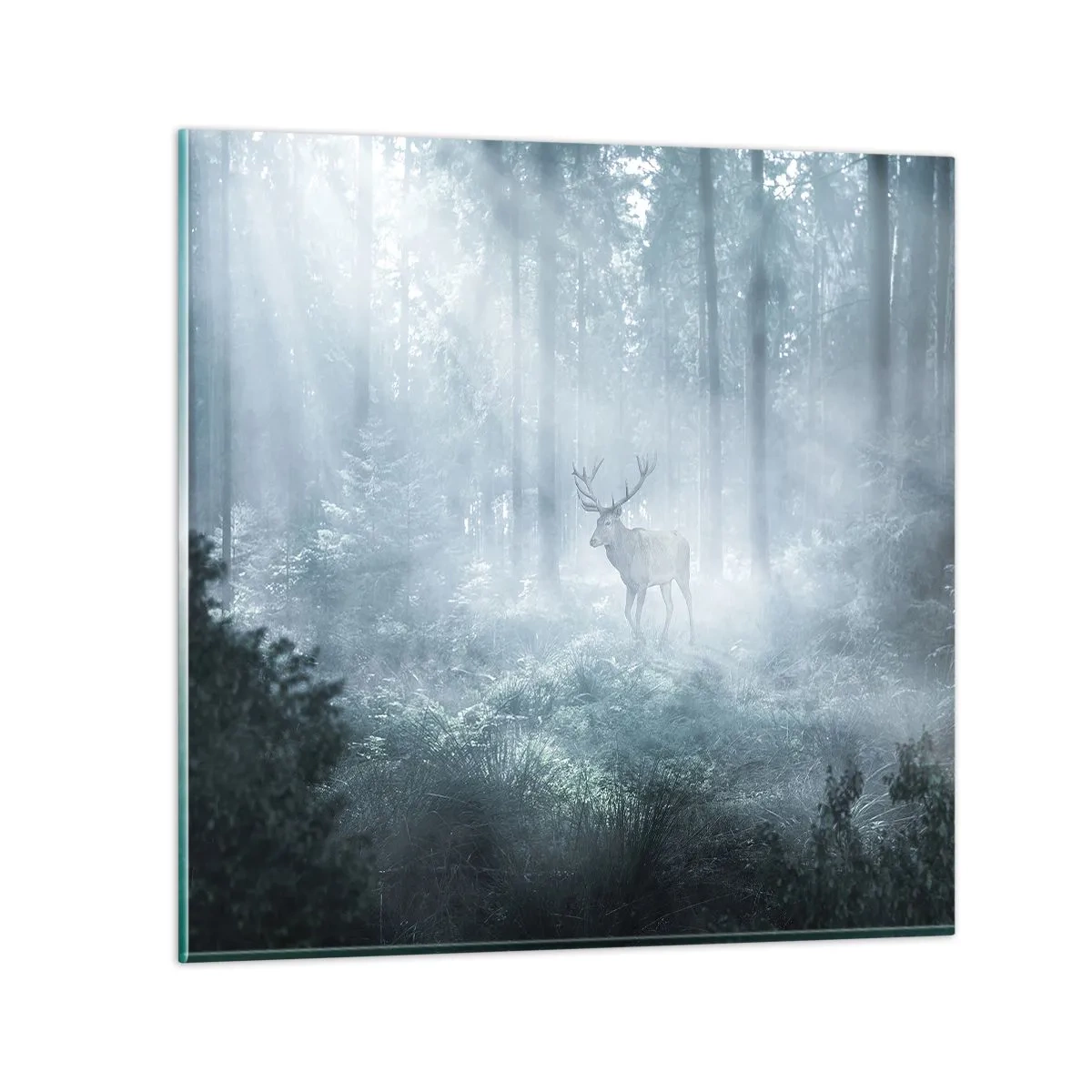 Billede på glas - Morgenvandring rundt på godset - 70x70 cm