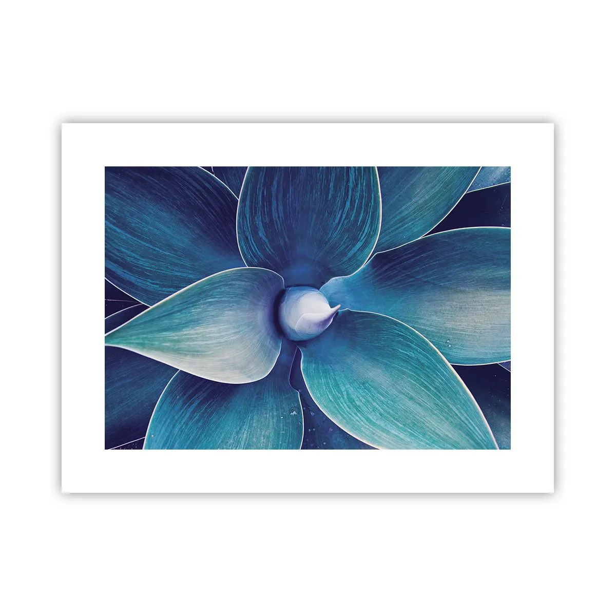 Plakat - Blå fra himlen - 40x30 cm