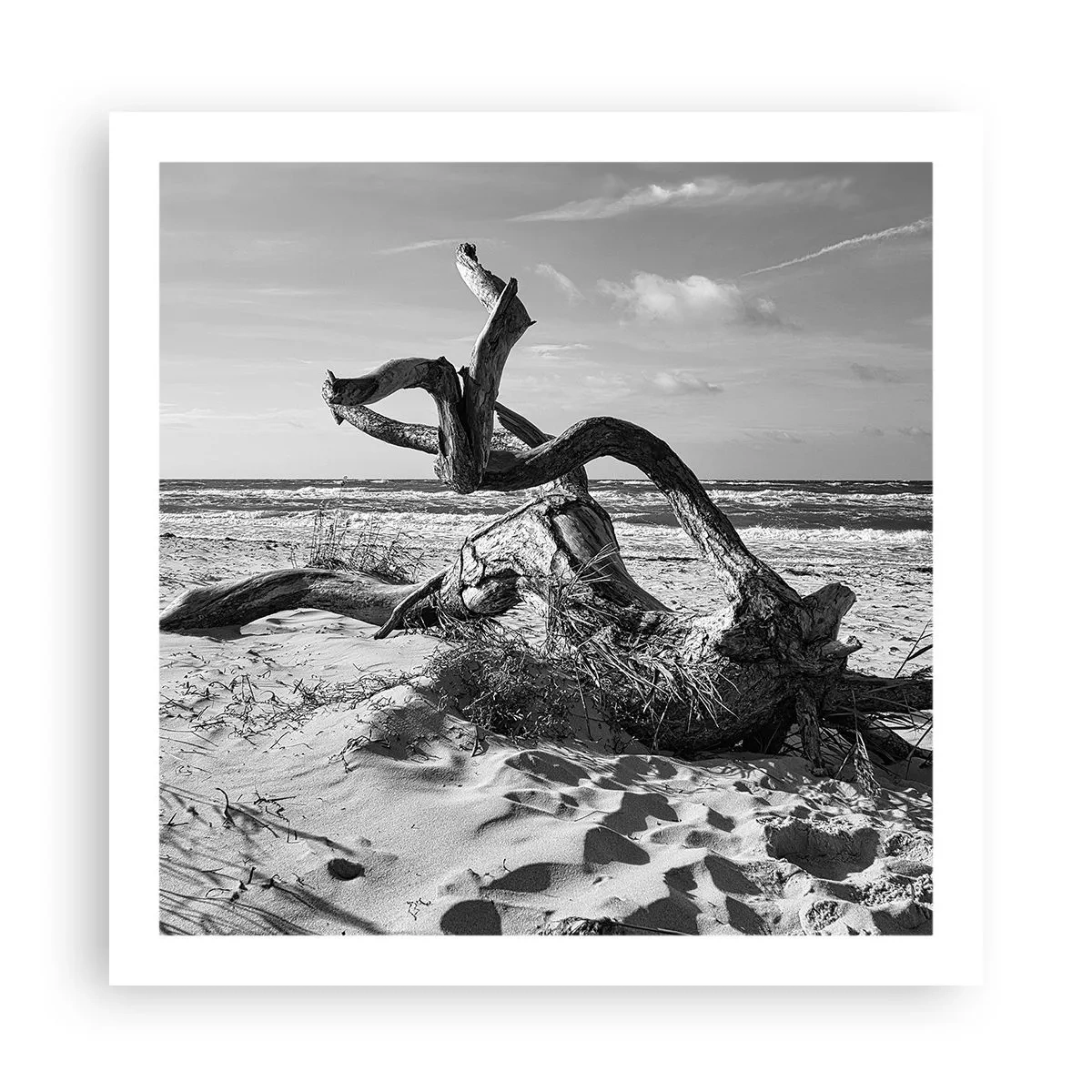 Plakat - Havets skulptur - 60x60 cm