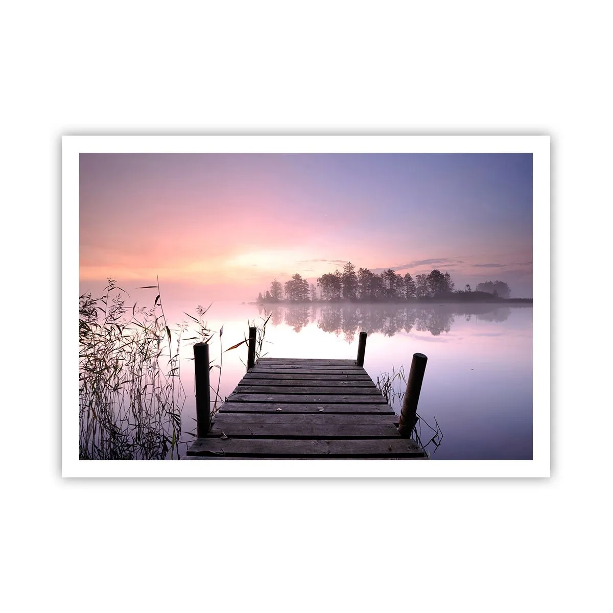 Plakat - Ud af den lilla tåge... - 100x70 cm