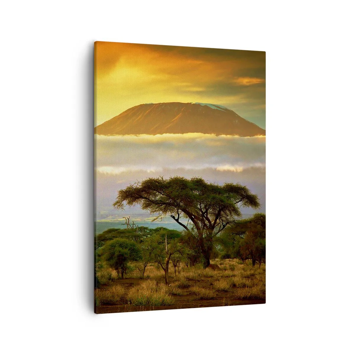 Lærredstryk - Billede på lærred - En rejsendes drøm - 50x70 cm