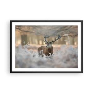 Plakat i sort ramme - En frisk morgen - 70x50 cm