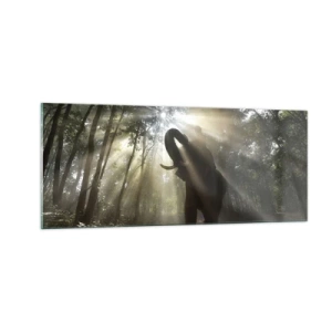 Billede på glas - Under en lykkelig stjerne - 100x40 cm