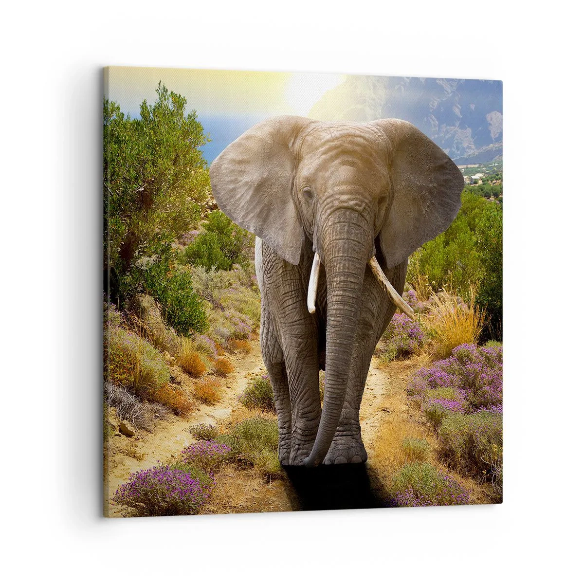 Lærredstryk - Billede på lærred - Sådan så Eden ud - 50x50 cm