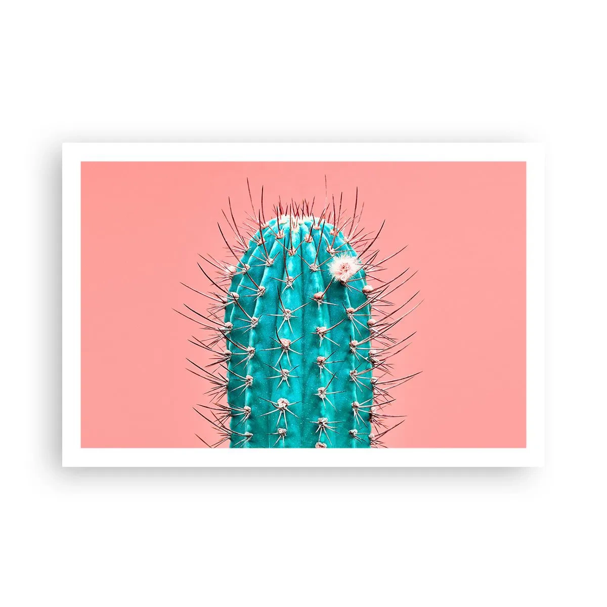 Plakat - Bare se - 91x61 cm