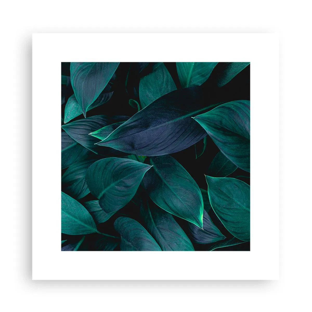 Plakat - Grønt i sig selv - 30x30 cm