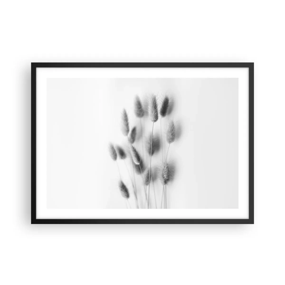 Plakat i sort ramme - Dens bløde græs - 70x50 cm