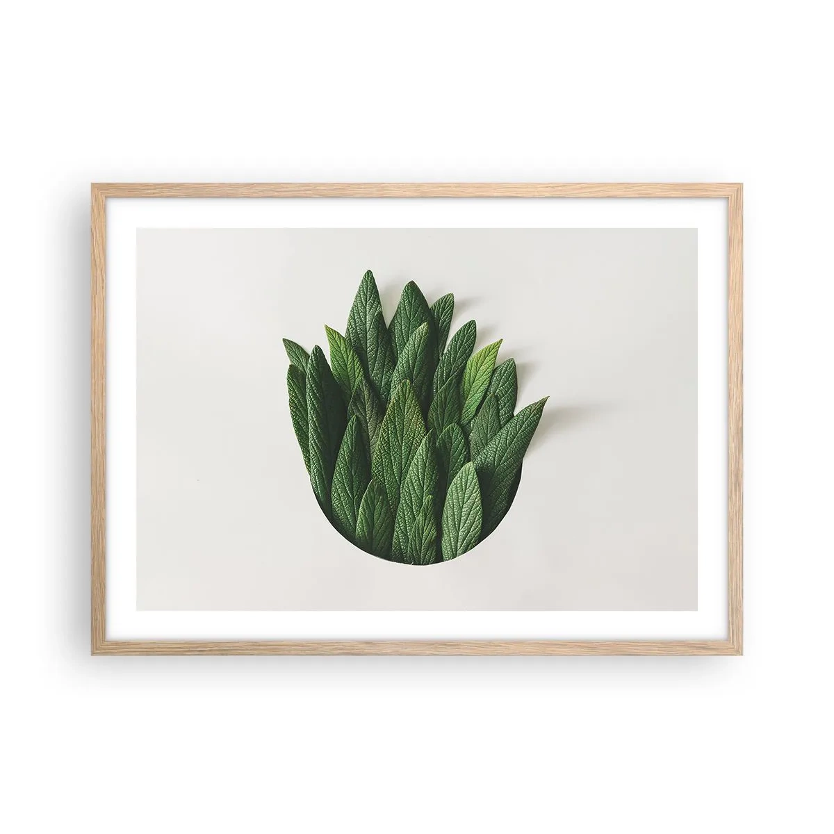 Plakat i ramme af lyst egetræ - Uhæmmet nysgerrighed - 70x50 cm