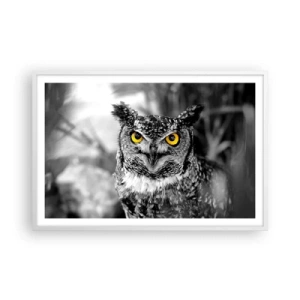 Plakat i hvid ramme - Intet kan skjules - 91x61 cm