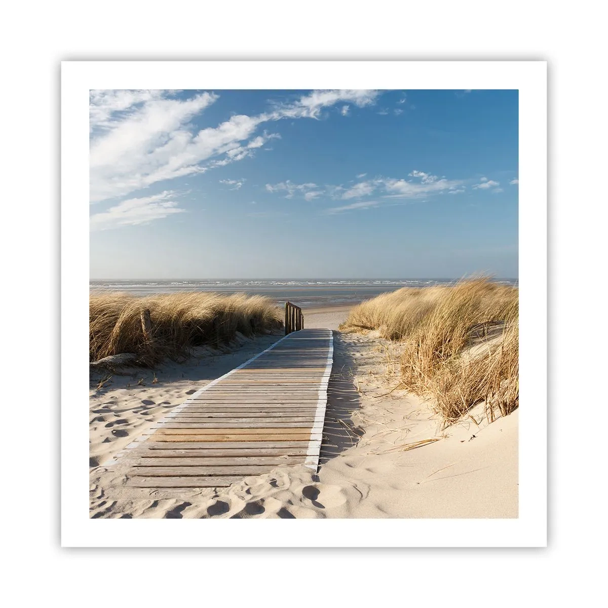 Plakat - Bag klitten, i græssets summen - 60x60 cm