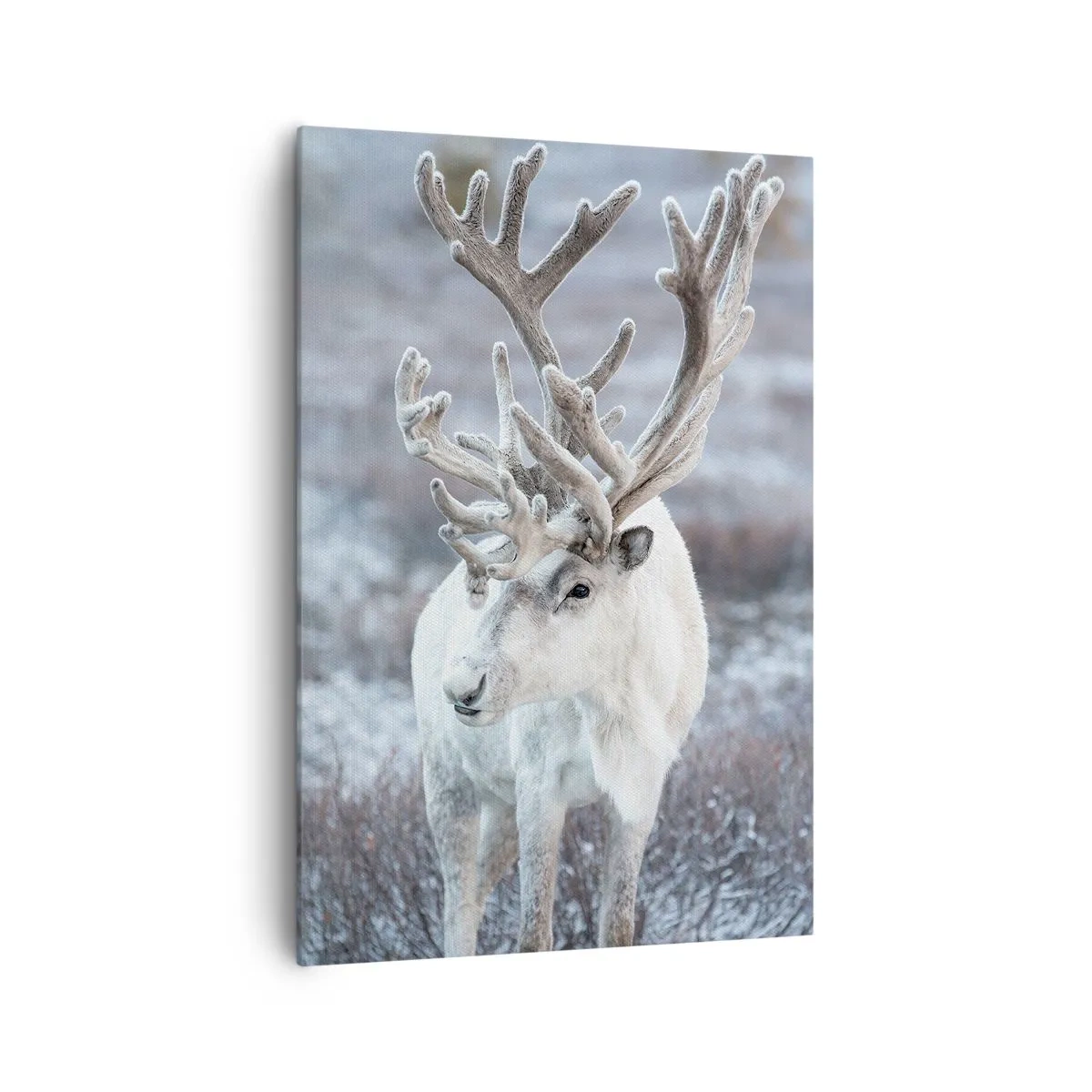 Lærredstryk - Billede på lærred - Portræt i solen - 70x100 cm