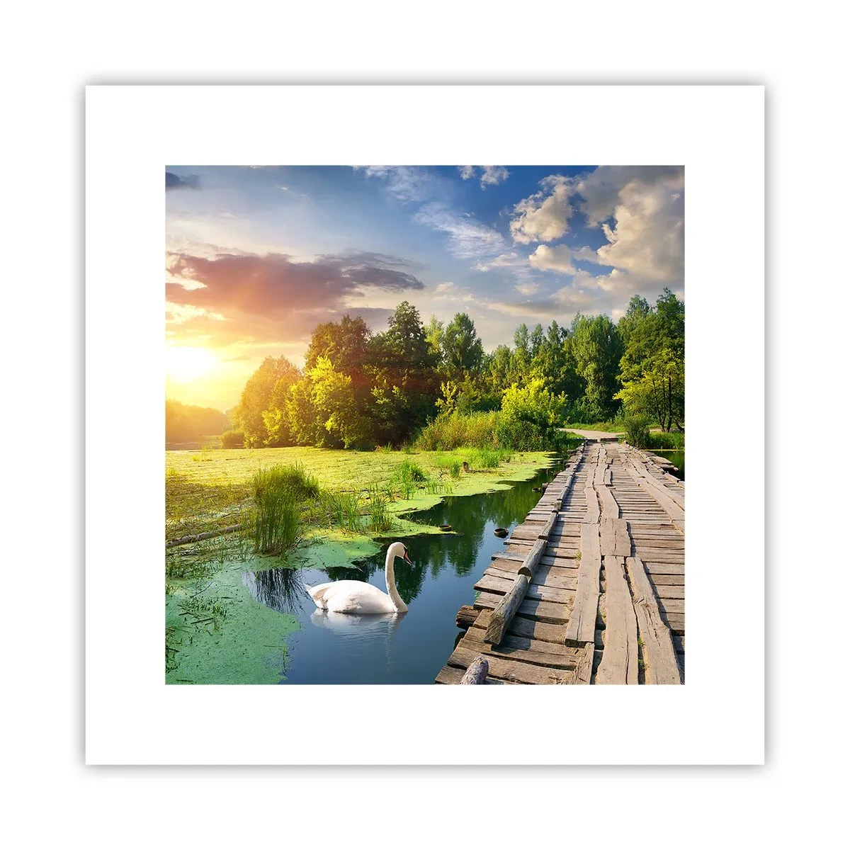 Plakat - Sommer, sommer overalt - 30x30 cm