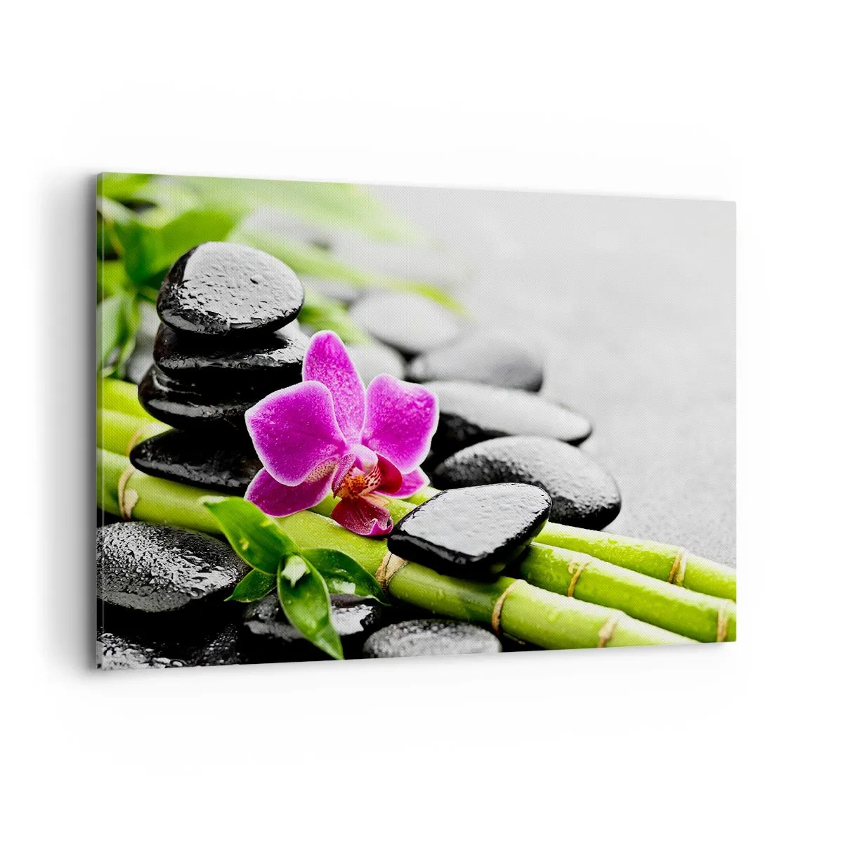 Lærredstryk - Billede på lærred - I en fredelig balance - 120x80 cm