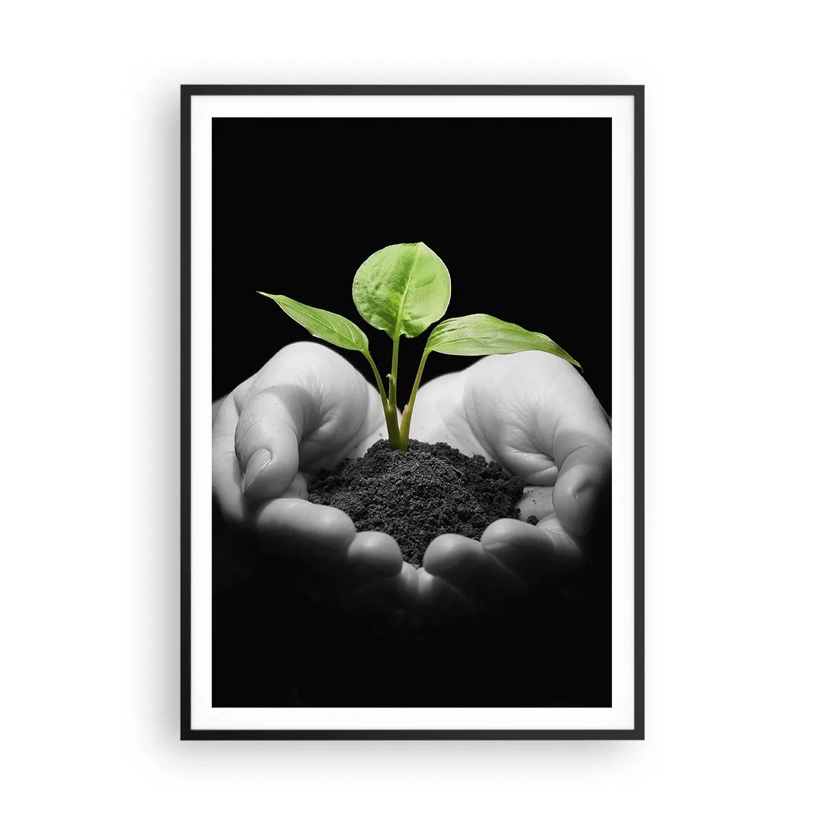 Plakat i sort ramme - Jeg elsker naturen, jeg beskytter den - 70x100 cm