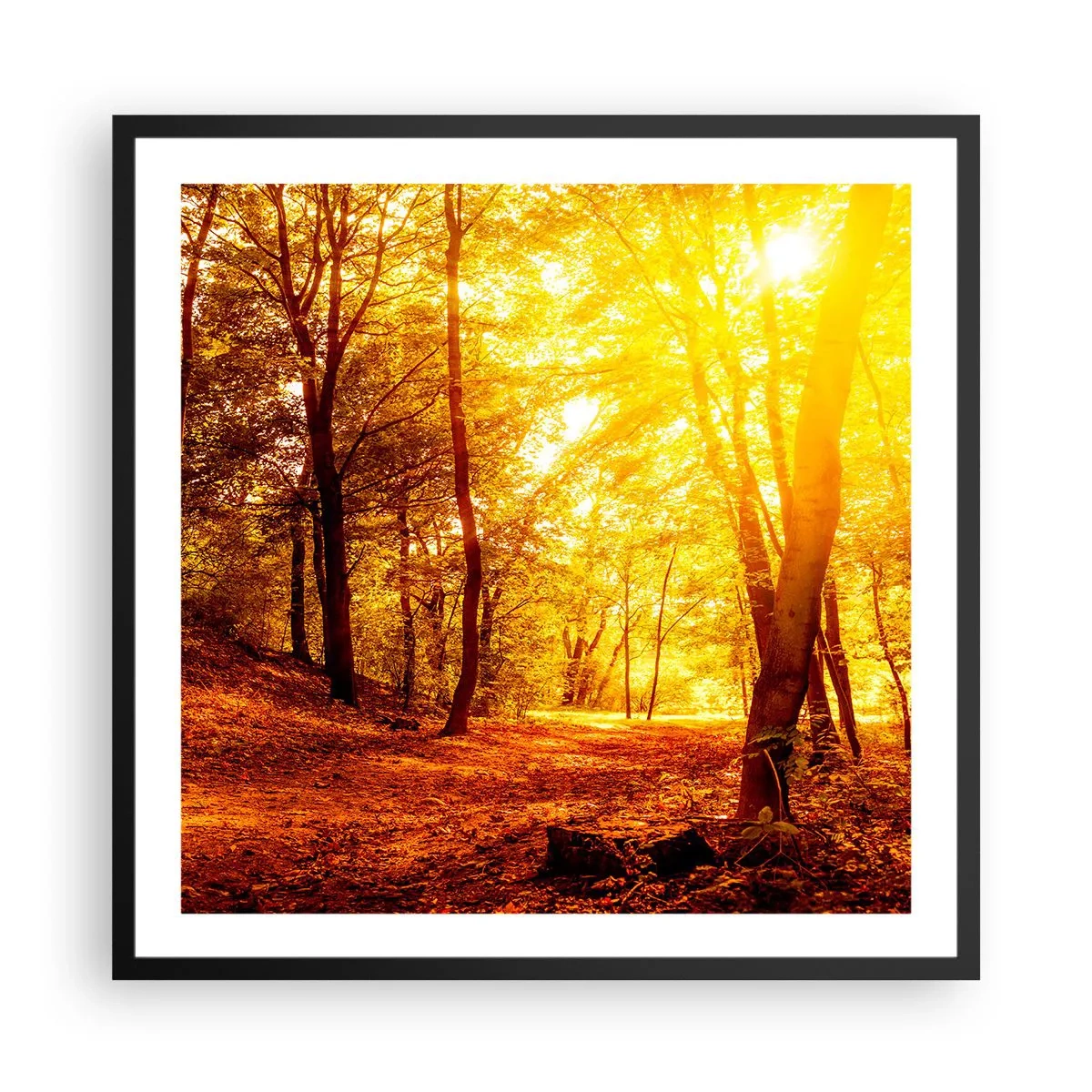 Plakat i sort ramme - Til den gyldne lysning - 60x60 cm