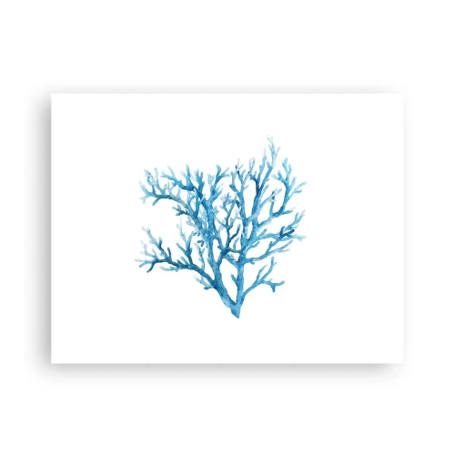 Plakat - Marint filigran - 40x30 cm