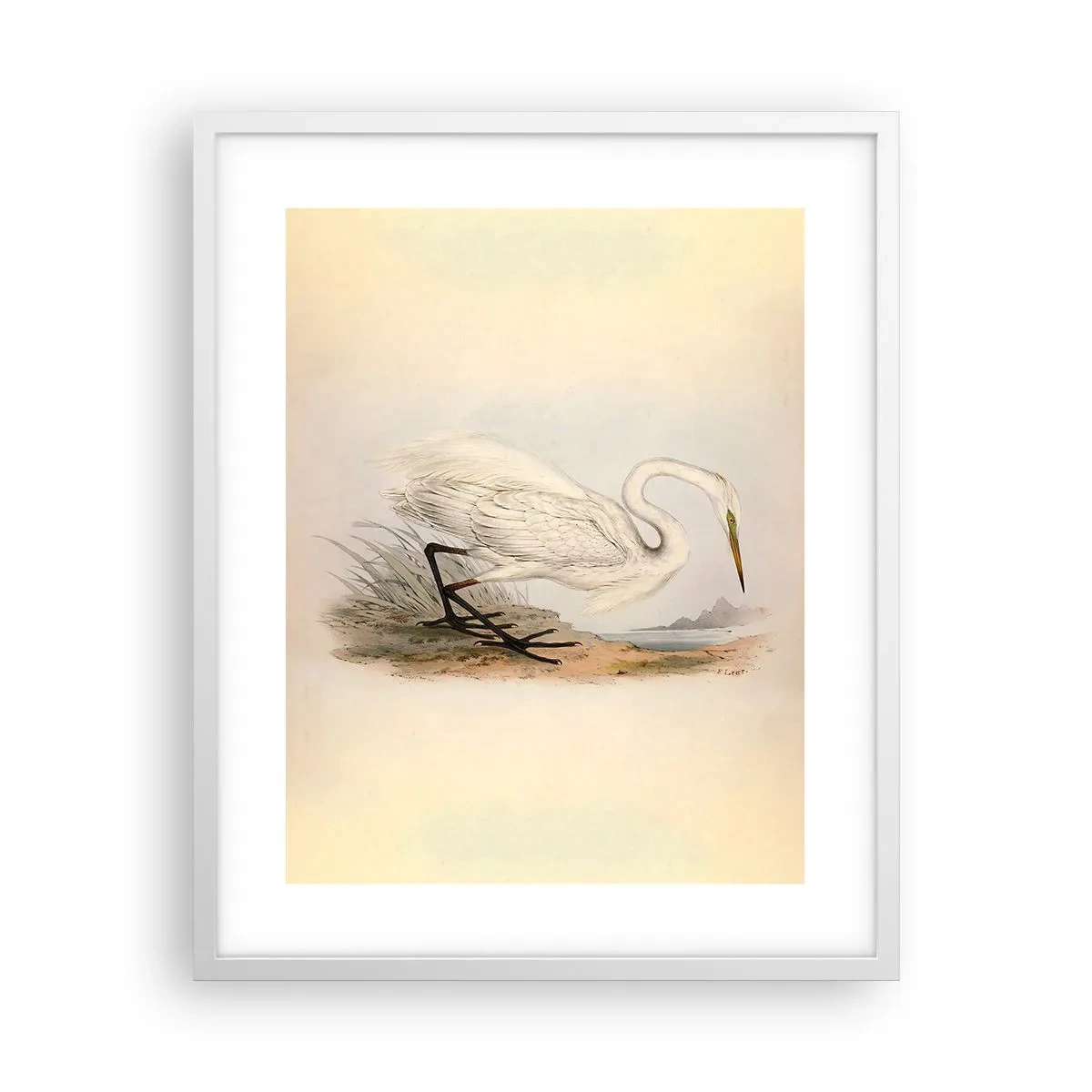 Plakat i hvid ramme - Dame på sivene - 40x50 cm