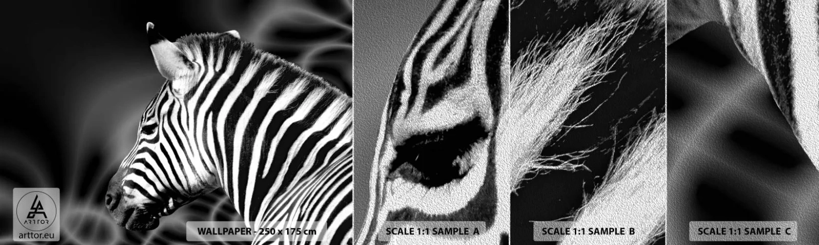 Prøve Fototapet Premium Sand - Hvid er hvid og sort er sort - Ribben, Sort og hvid, Dyr - 100x30 cm