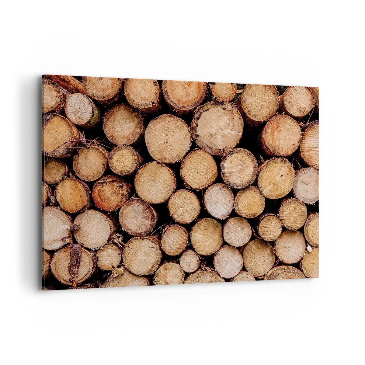 Lærredstryk - Billede på lærred - En ny begyndelse - 100x70 cm